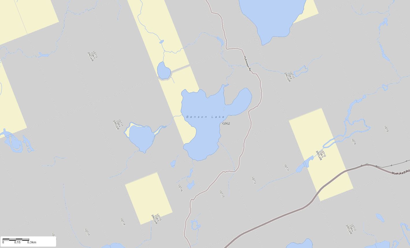 Crown Land Map of Benson Lake in Municipality of Lake of Bays and the District of Muskoka